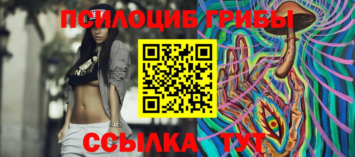 Псилоцибиновые грибы прущие грибы  Псилоцибиновые грибы GOLDEN TEACHER  Верхняя Пышма  Вход с VPN 