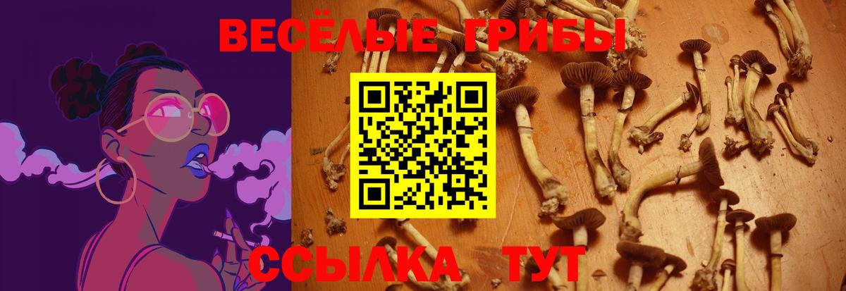 Псилоцибиновые грибы MAGIC MUSHROOMS Верхняя Пышма